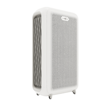 Load image into Gallery viewer, BM300 Air Purifier