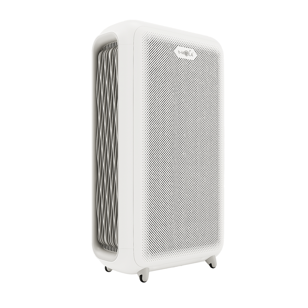 BM300 Air Purifier