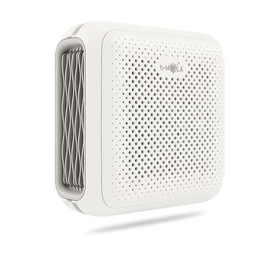 BM10 Portable Air Purifier